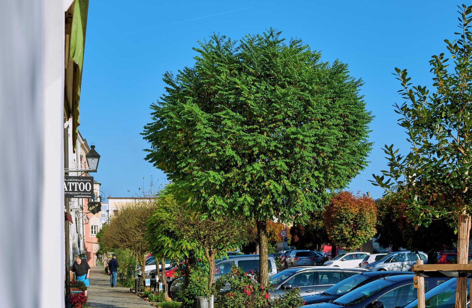 Ferienwohnung Tittmoning Zwischen Salzburg, Burghausen Und Oesterreich Exterior foto